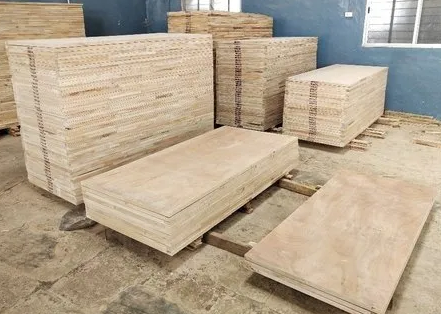 Flush Door Manufacturer Supplier