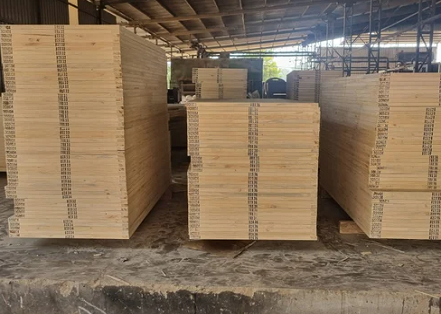 Flush Door Manufacturer